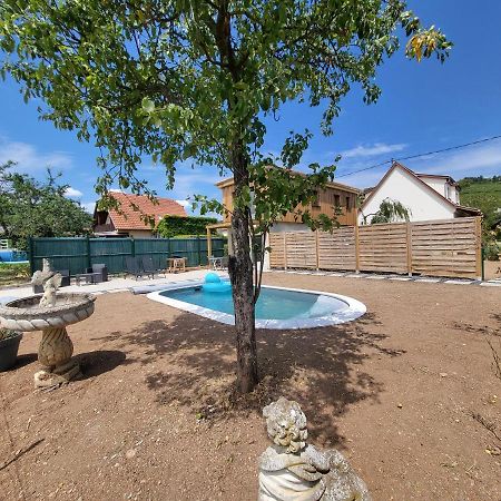 Apartament Au Coeur Des Vignes Bergheim Zewnętrze zdjęcie