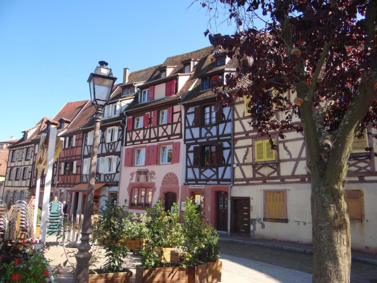 Apartament Au Coeur Des Vignes Bergheim Zewnętrze zdjęcie