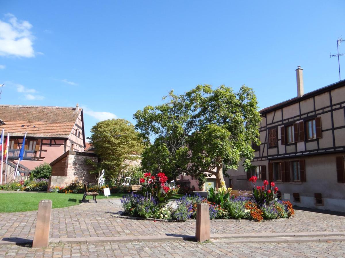 Apartament Au Coeur Des Vignes Bergheim Zewnętrze zdjęcie